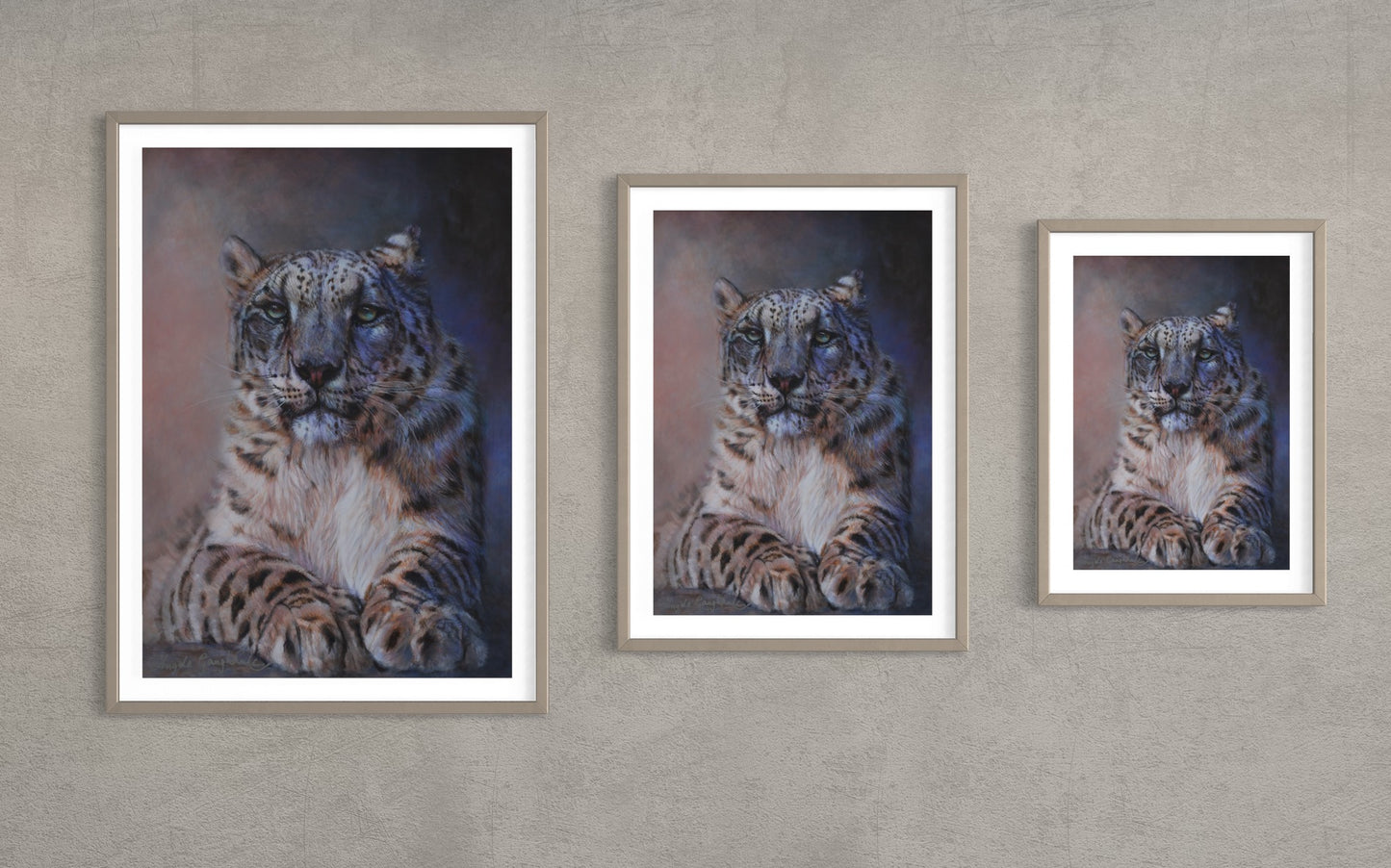 Snow Leopard Portrait