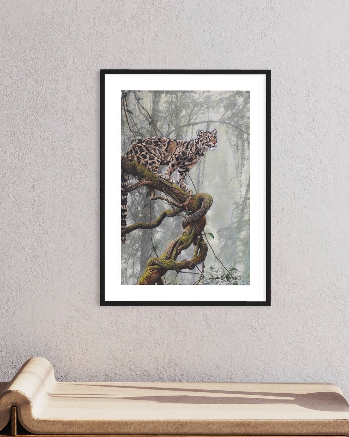 Clouded Leopard