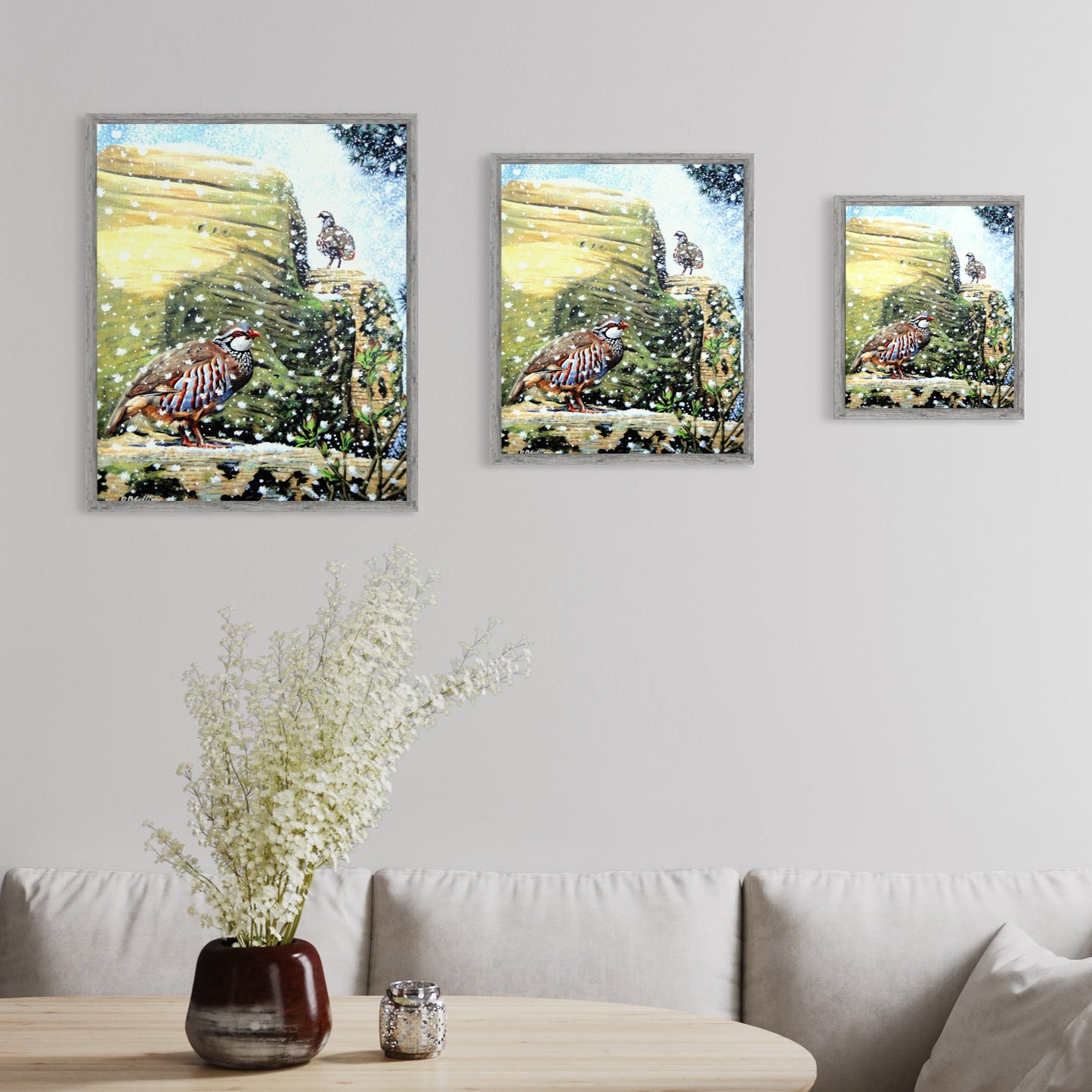 Red Leg Partridge Lost In Snow