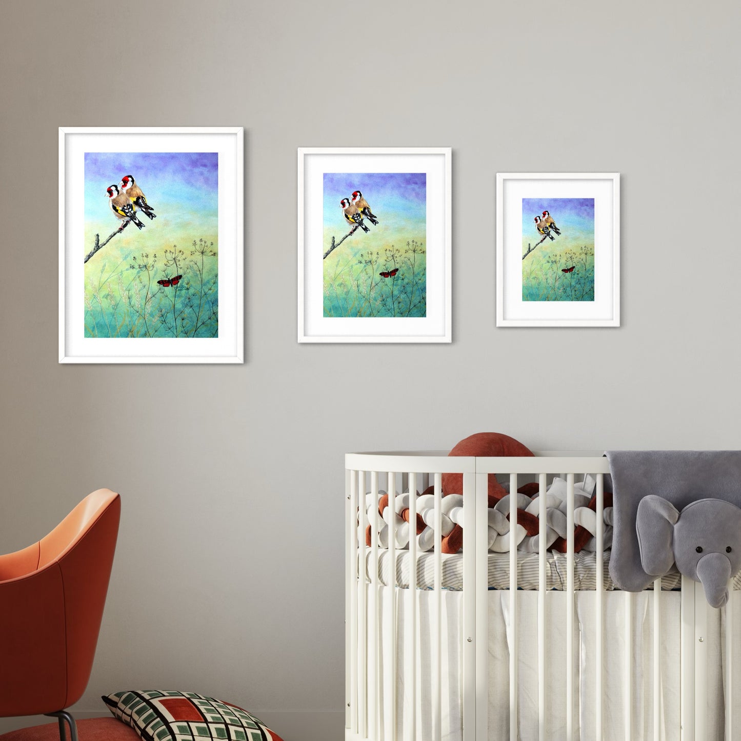 Gold Finches & Six Spot Burnet Moth