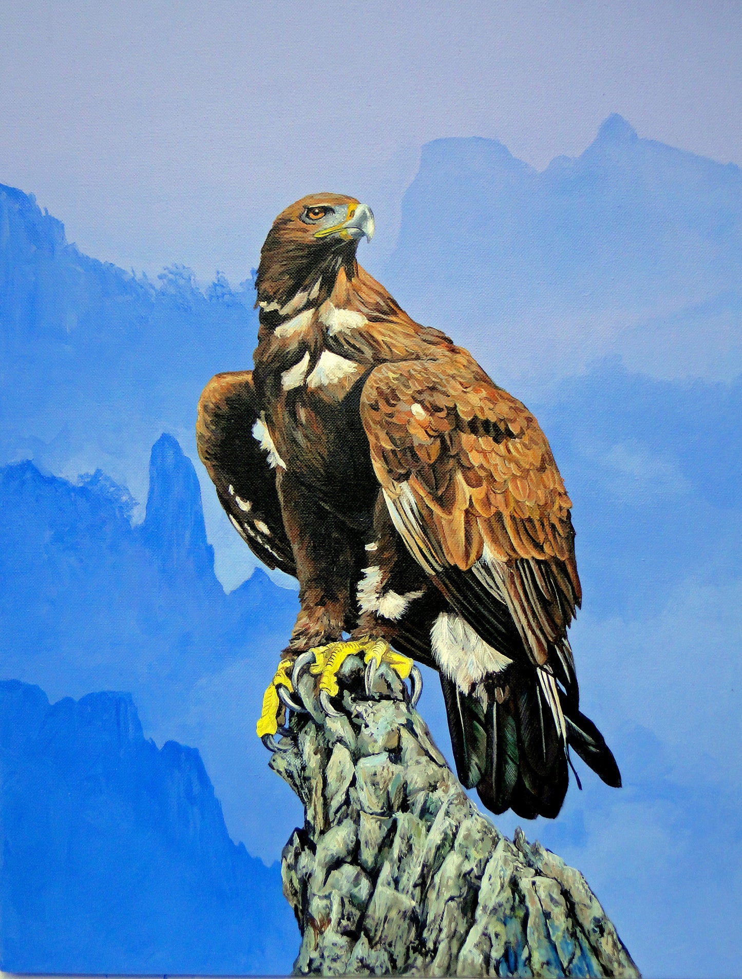 Golden Eagle by Robert Gellion