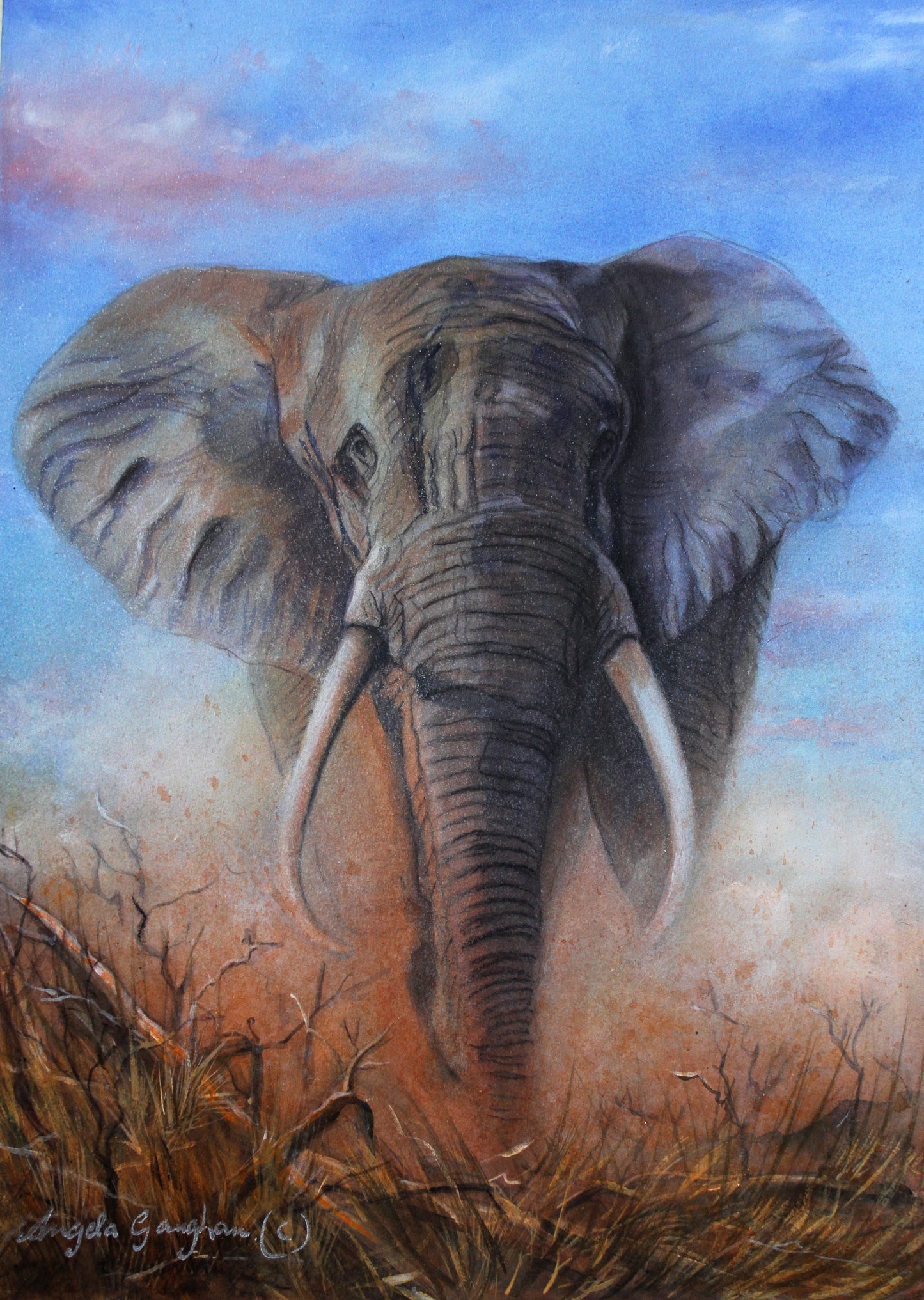 Majestic Thunder by Angela Gaughan