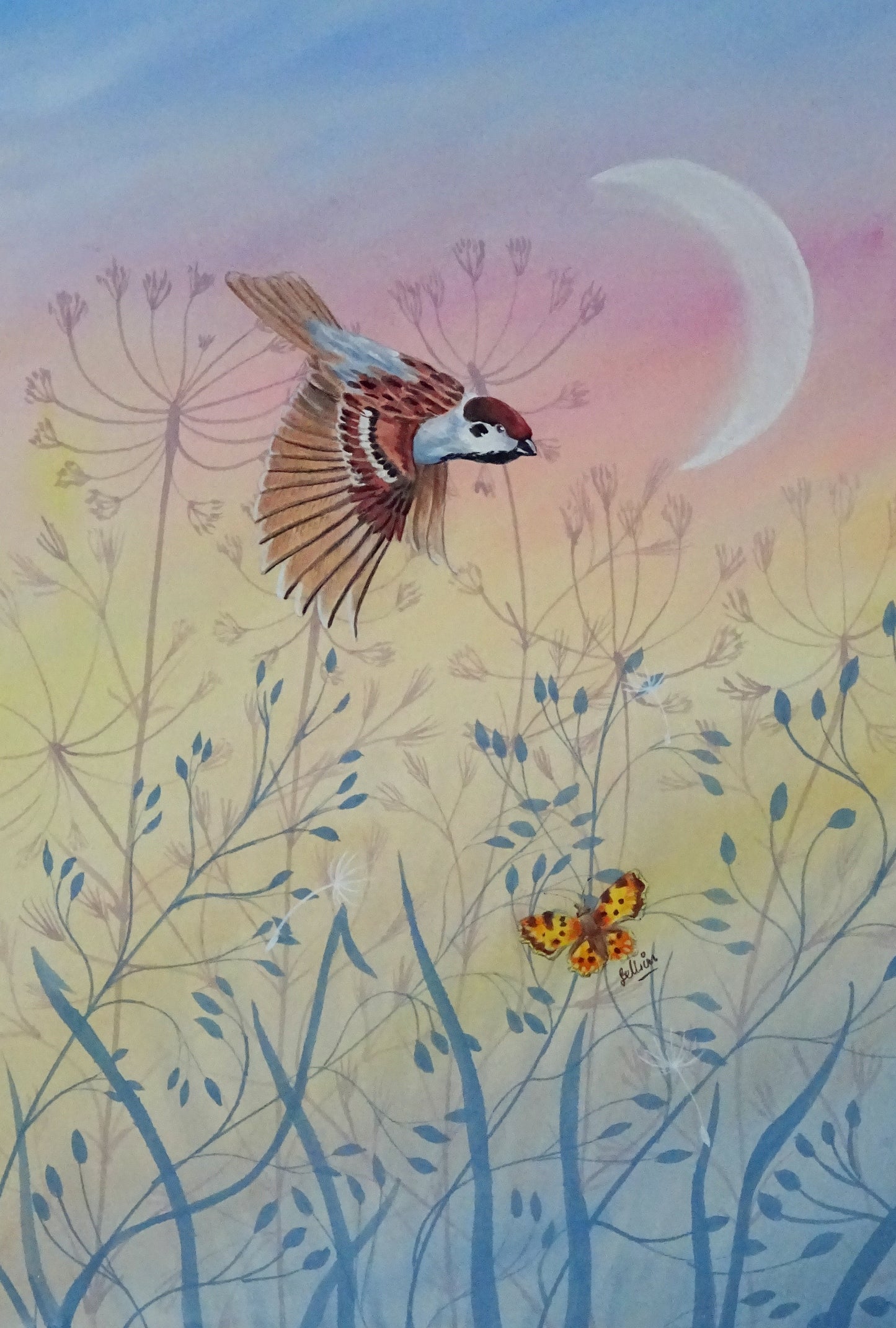 Tree Sparrow & Comma by Robert Gellion