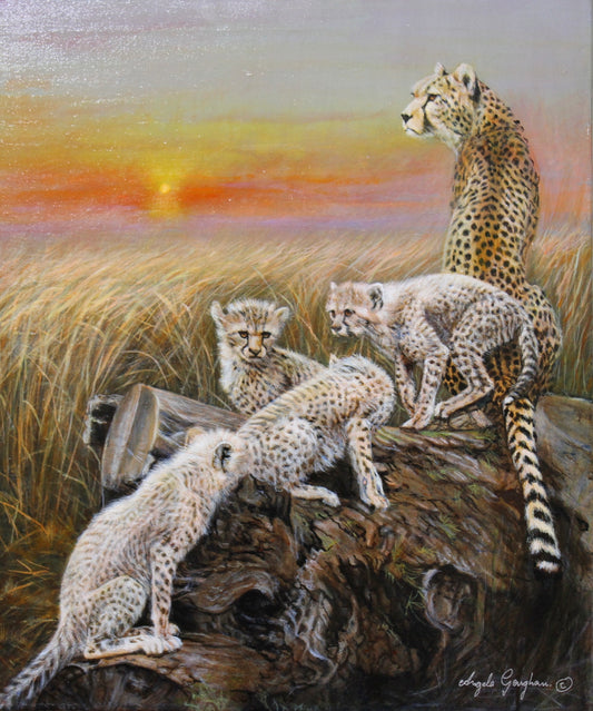 Cheetahs at Sunset