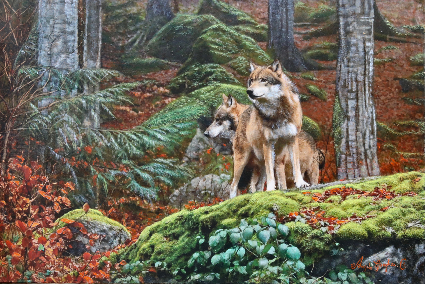 Two Wolves
