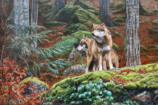 Two Wolves