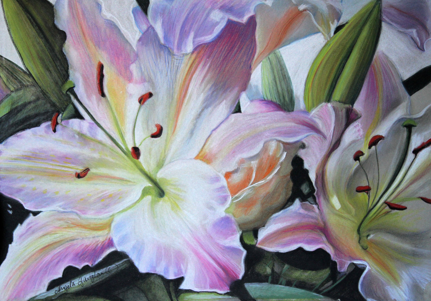 Lillies