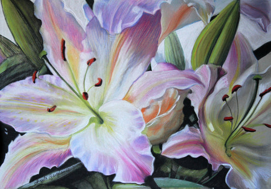Lillies