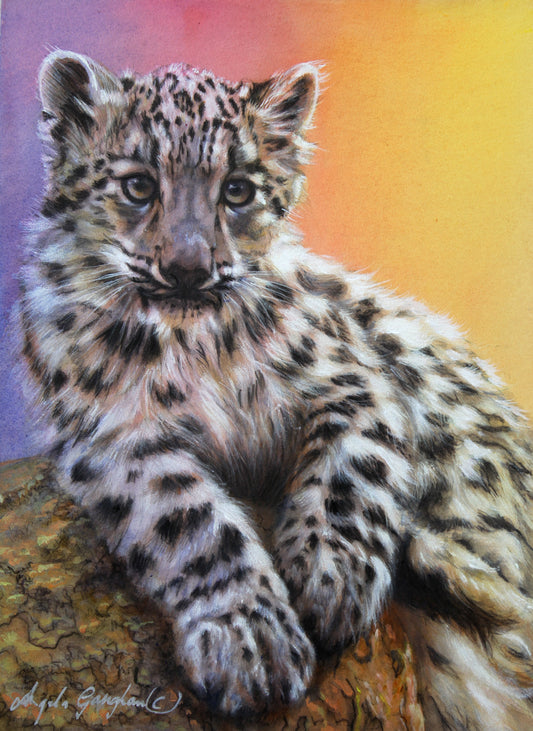 Snow Leopard Cub