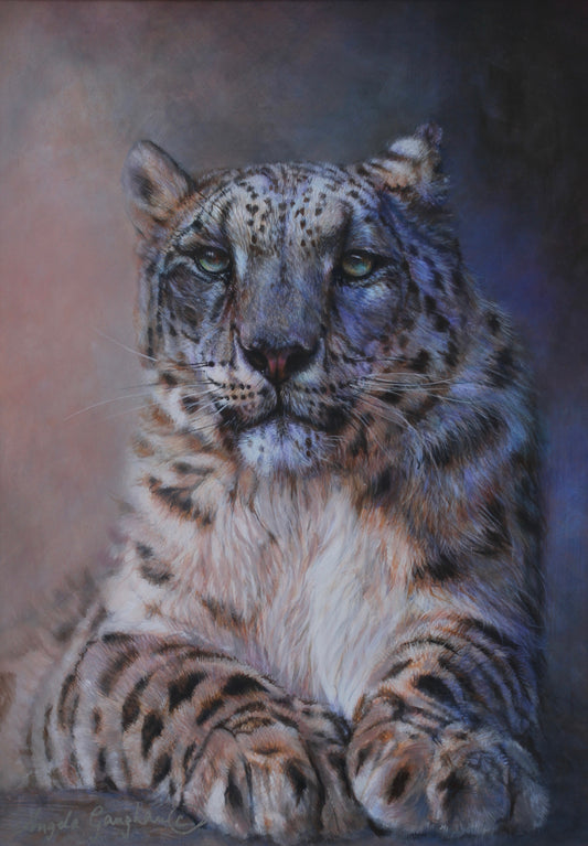 Snow Leopard Portrait