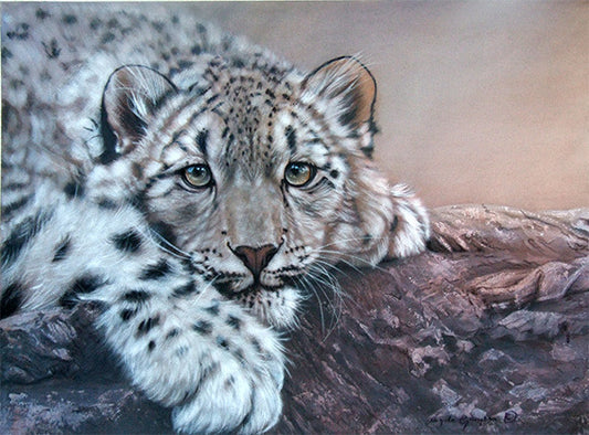 Snow Leopard