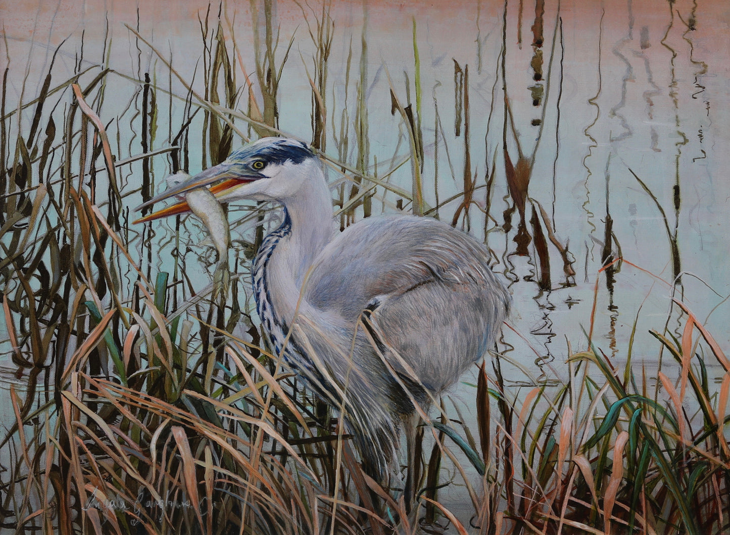 Study of a Heron