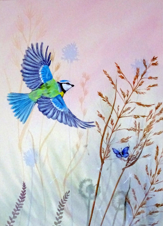 Blue Tit