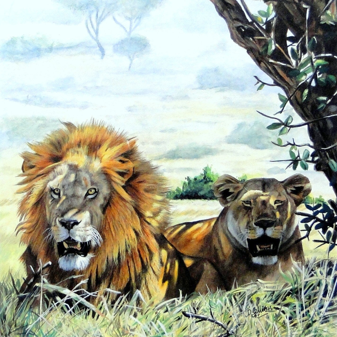 Lions by Robert Gellion